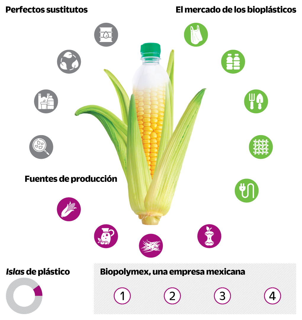 Microorganismos a favor del medio ambiente