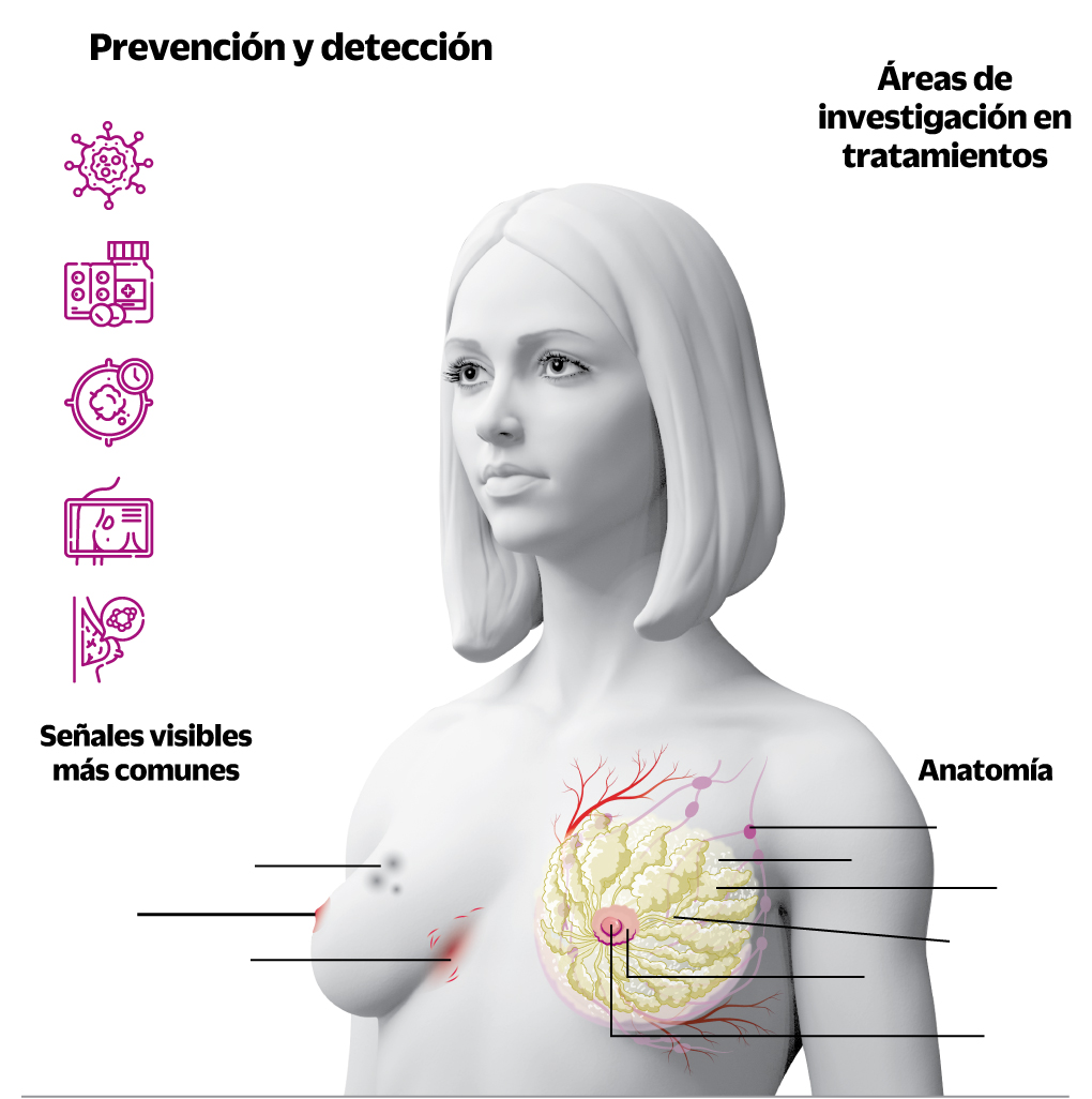 Exoesqueletos al rescate