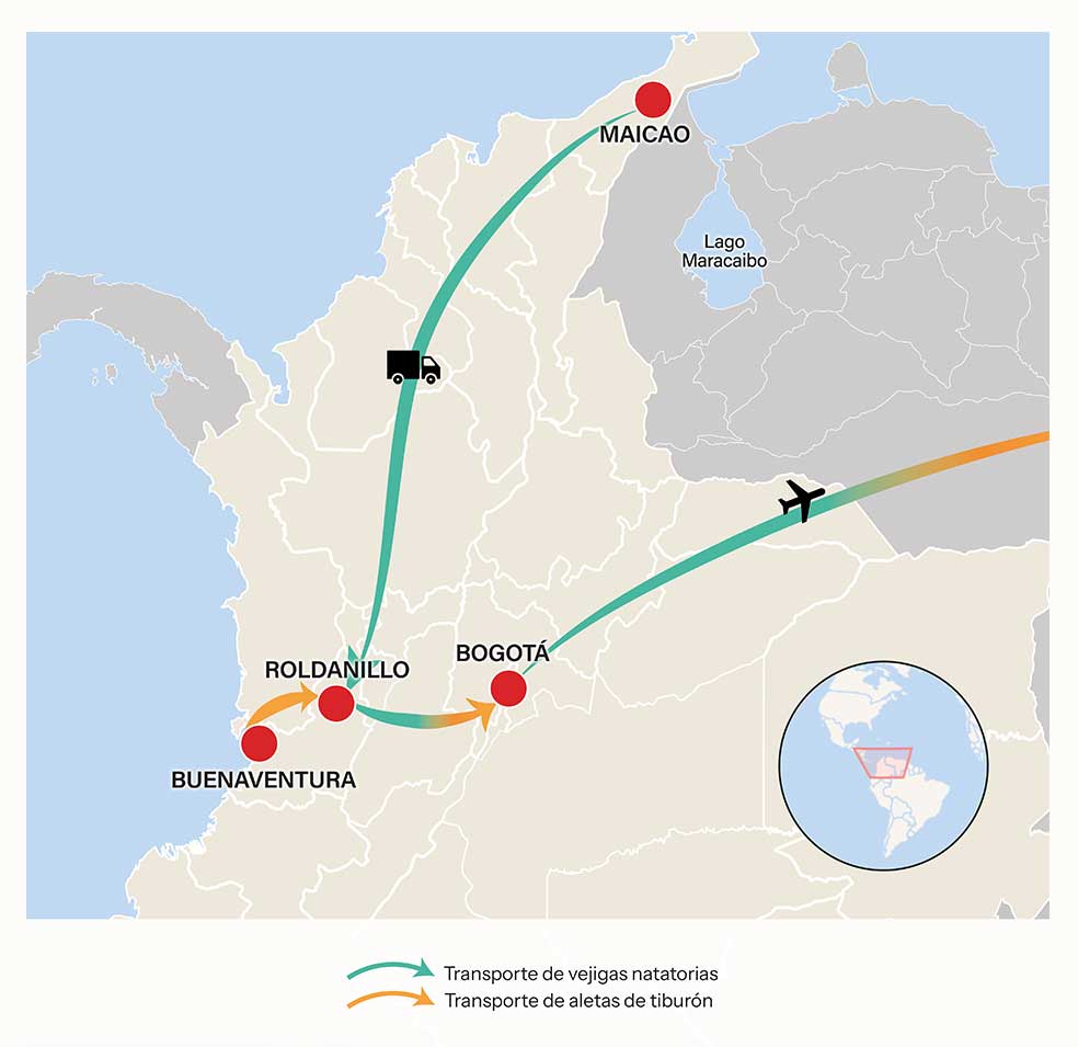 Rutas de distribución