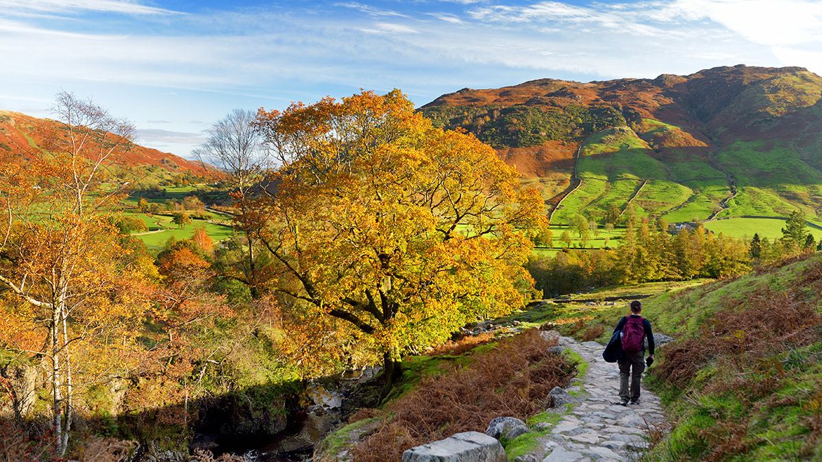 El Universal Los nuevos retos de las Áreas Naturales Protegidas
