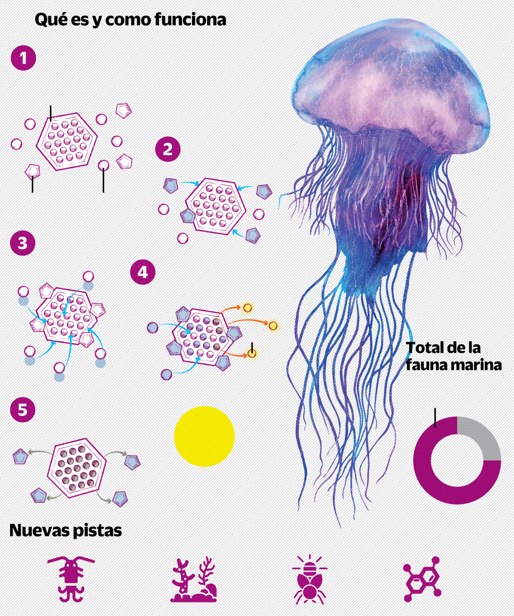 Investigación clínica y nuevas vacunas