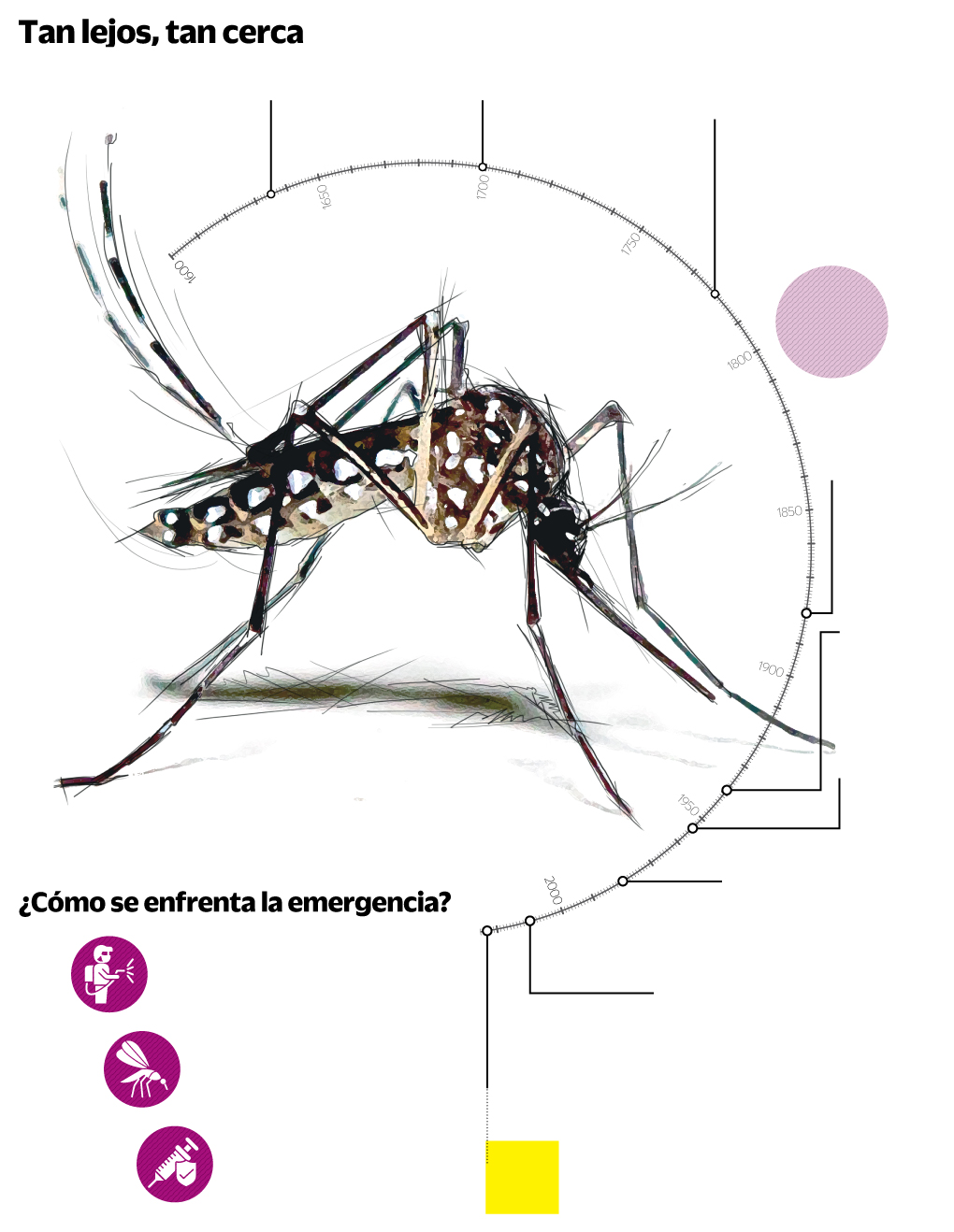 Día mundial contra el dengue