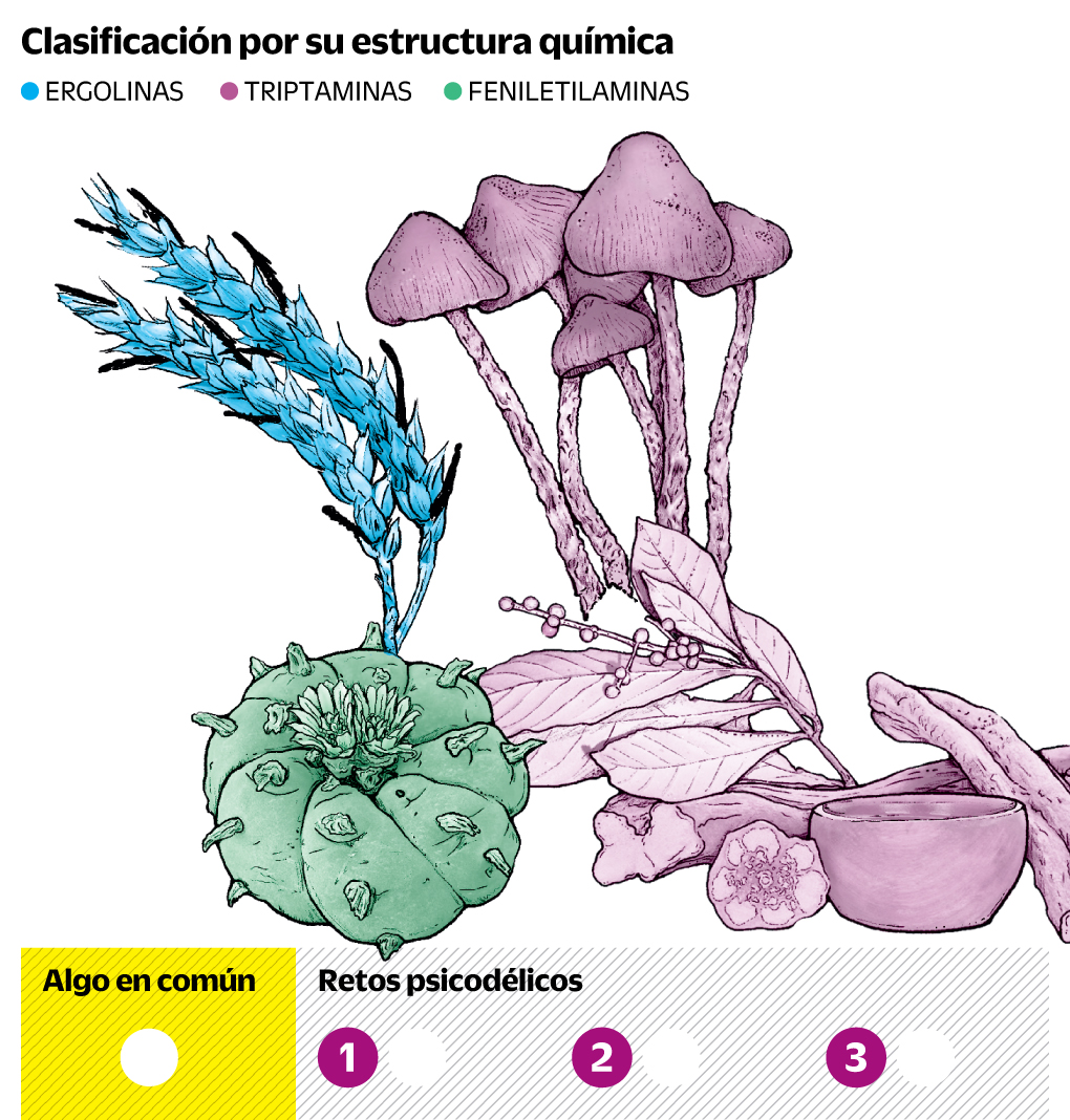 El camino de las drogas en 2024