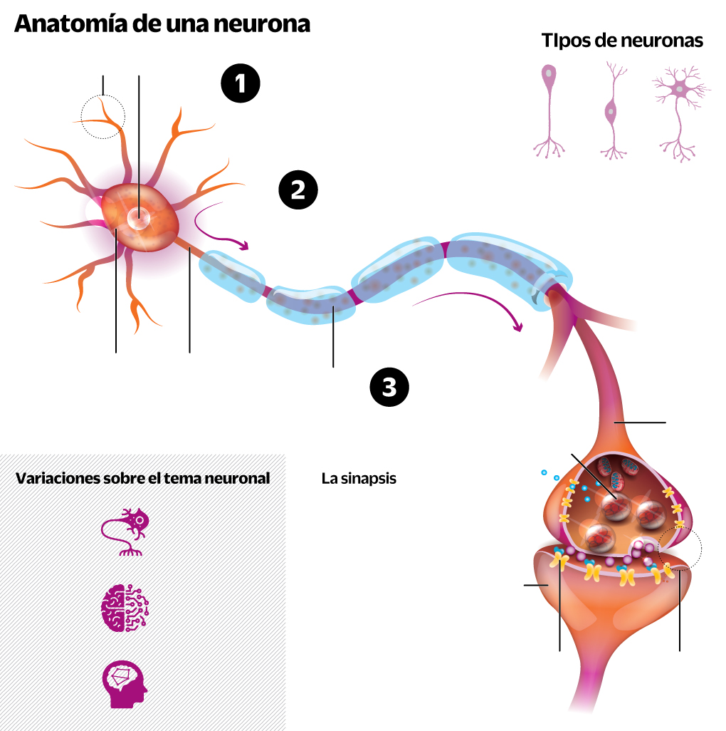 Inteligencia artificial (IA), ciencia y arte