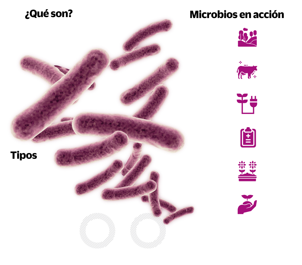 Microbios contra el cambio climático