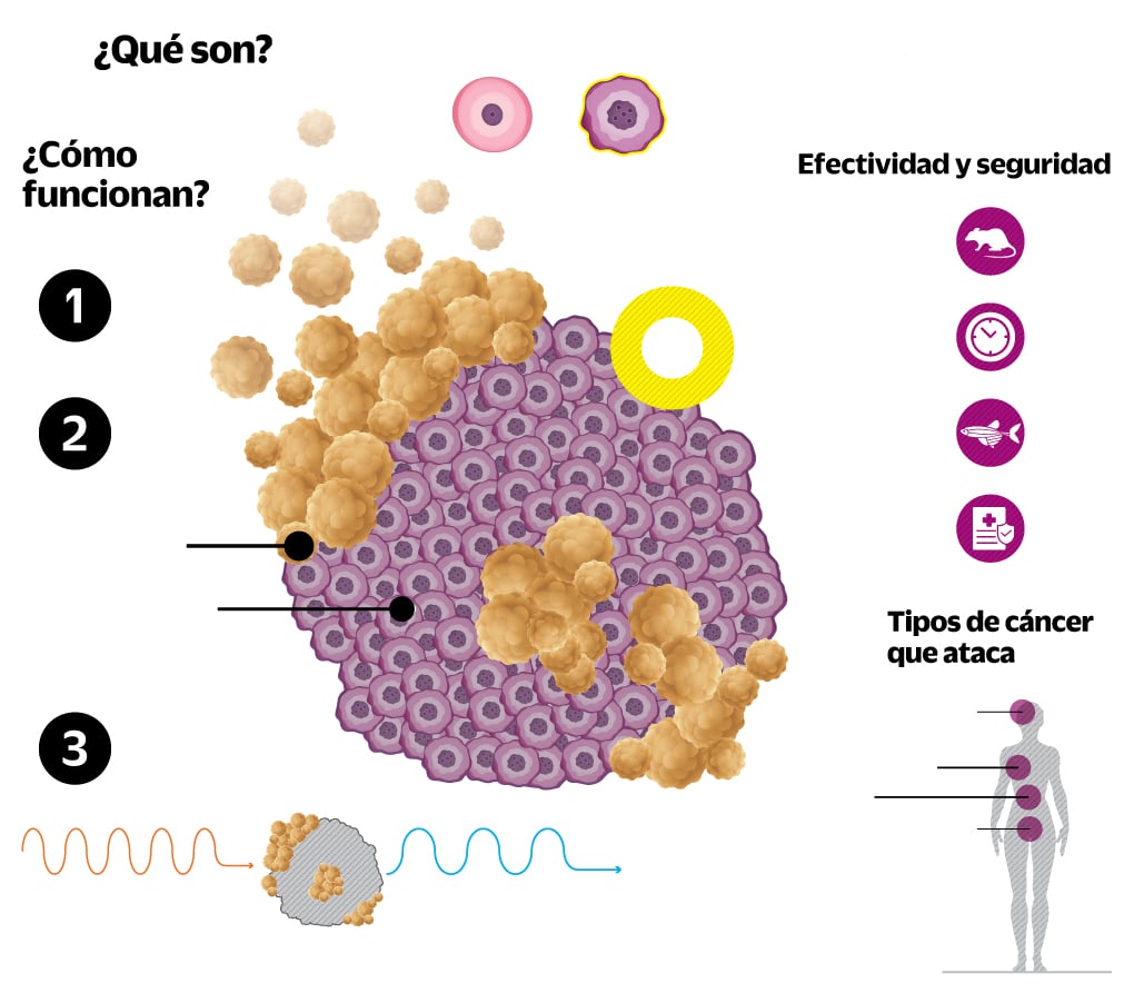 Todo el poder de las nanopartículas