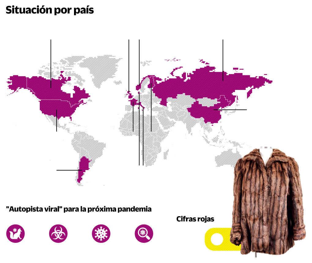 Las granjas de piel y los virus de la próxima pandemia