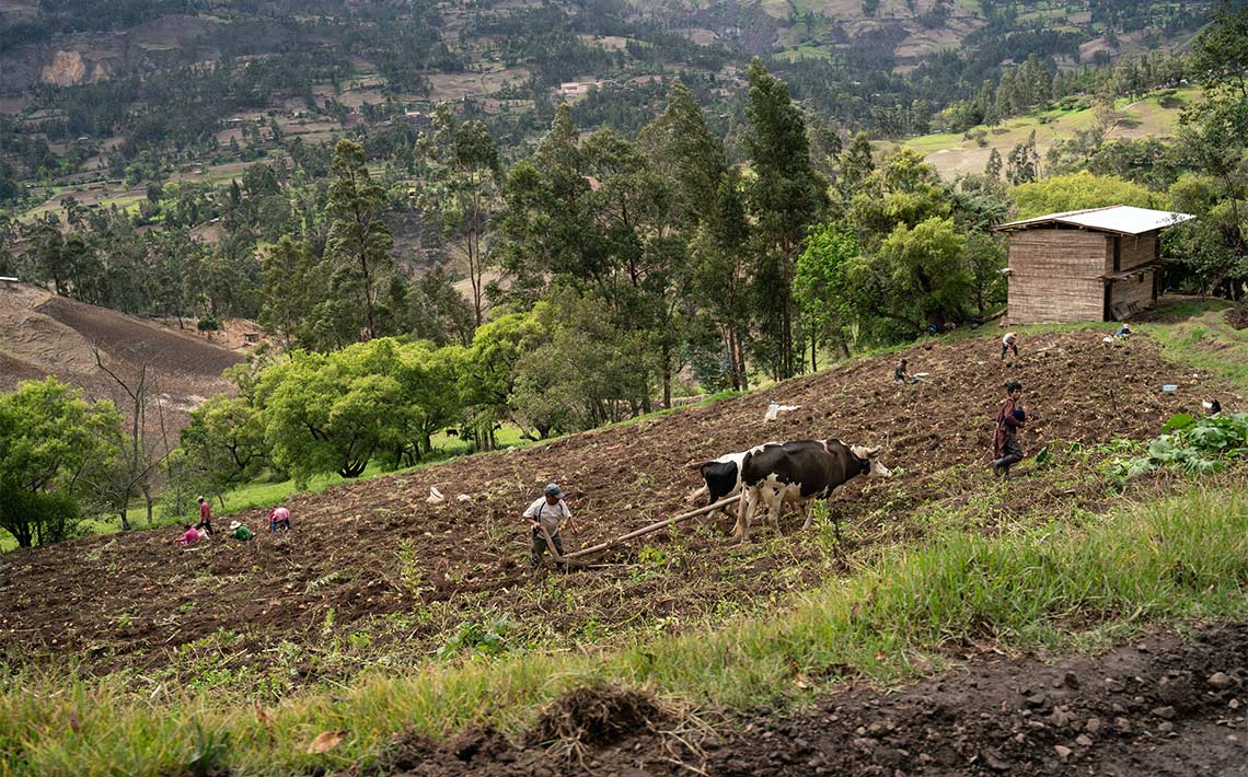 Areas de conservación en Perú