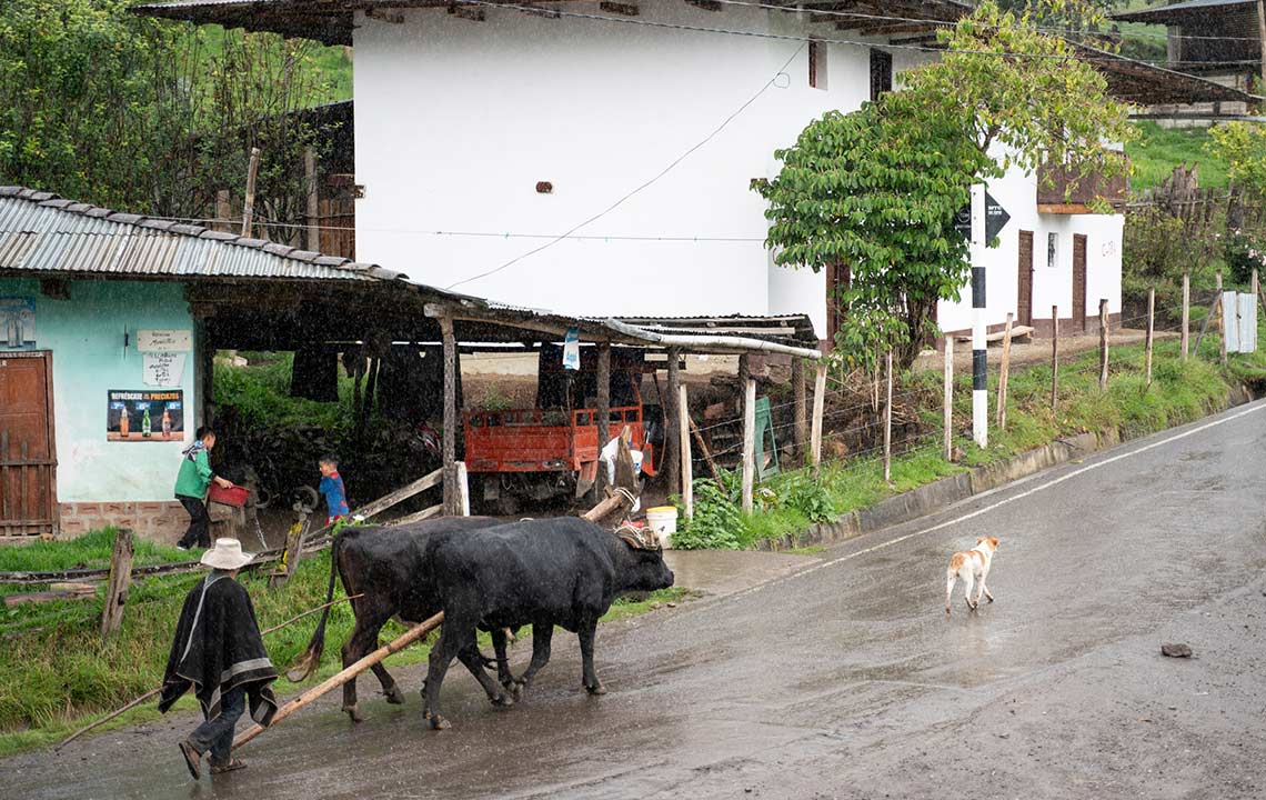 Areas de conservación en Perú