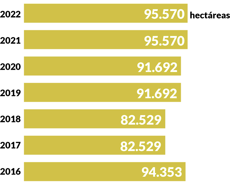 chart Deforestation in Ecuador by hectares