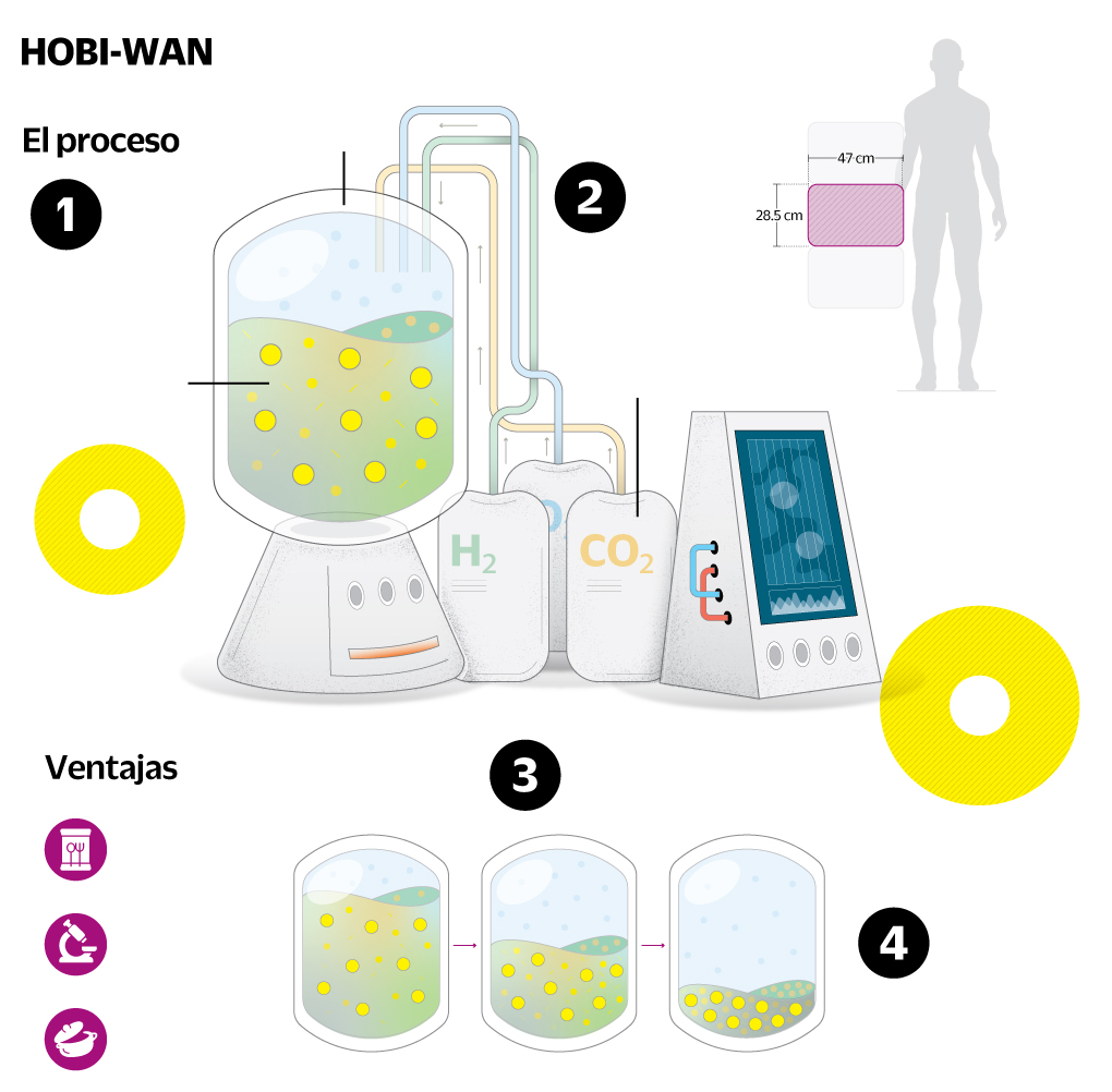 Microbios para botanear en el espacio
