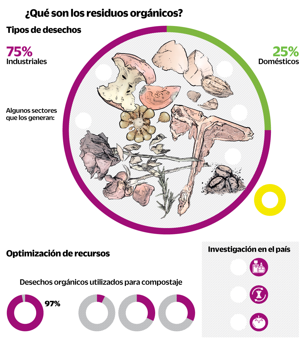 Desechos orgánicos, tesoros latentes