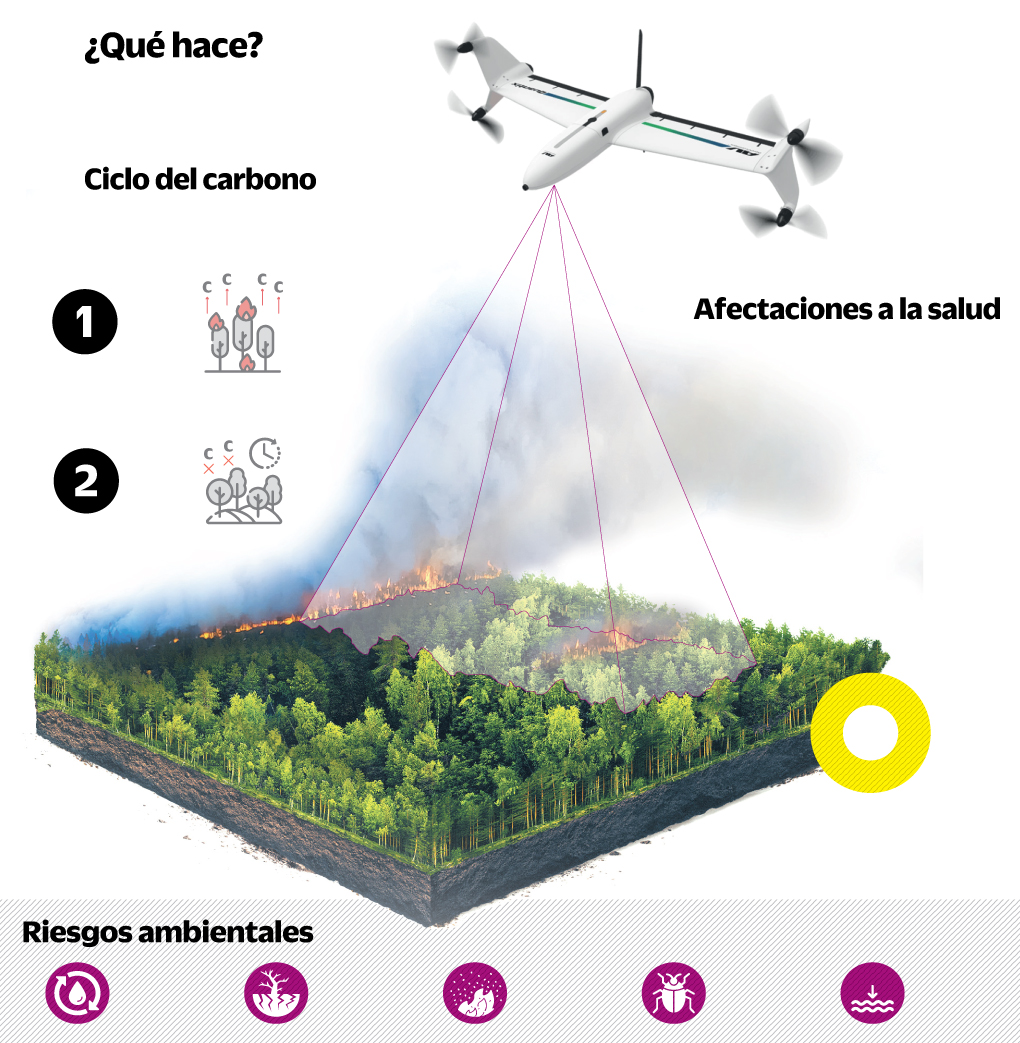 La ciencia después de los incendios