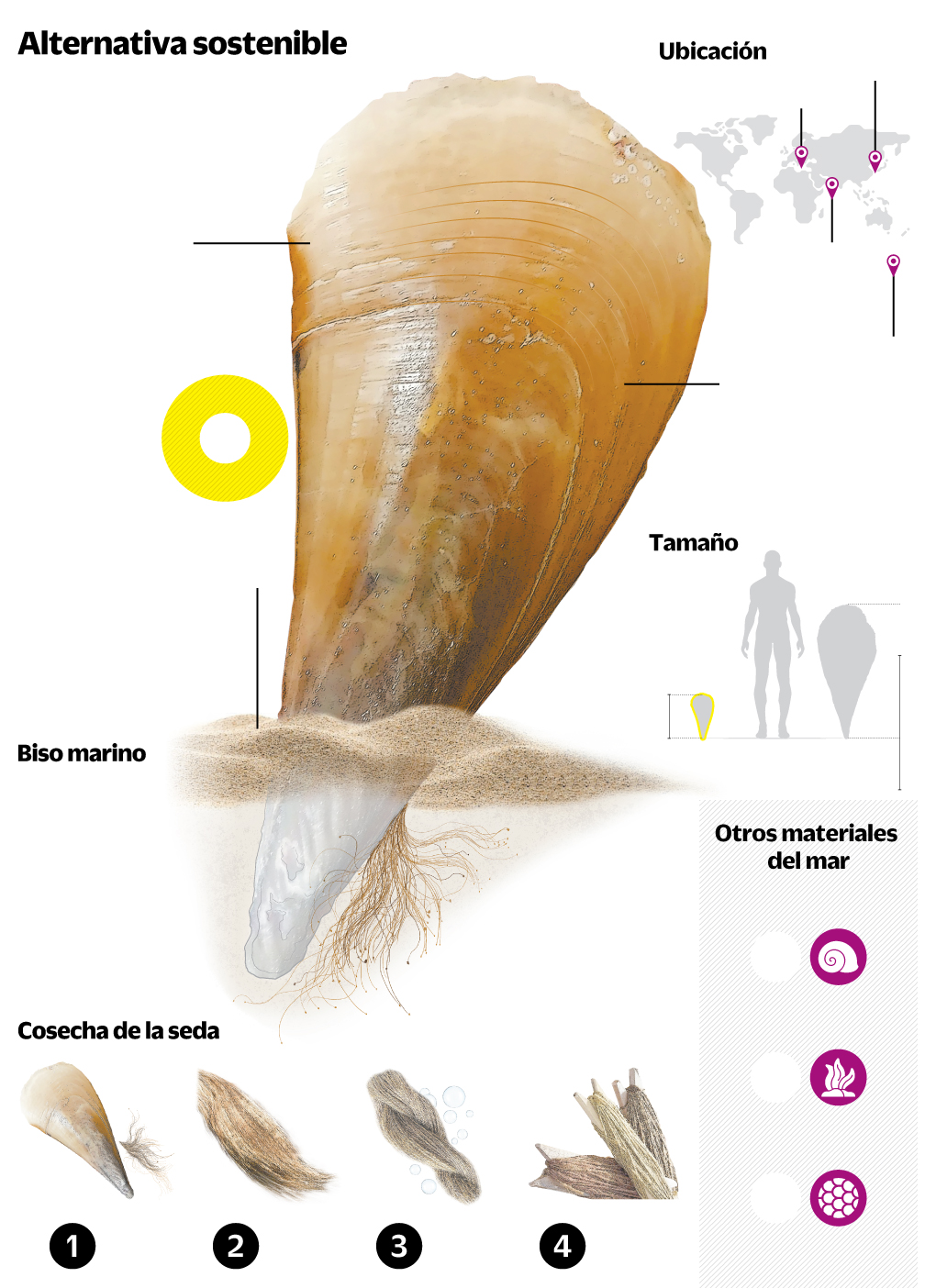 Tesoros marinos de la industria textil