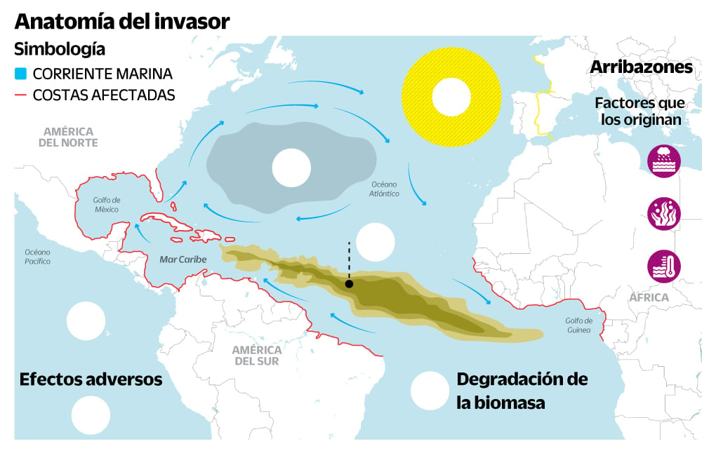 Cooperación científica Francia-México