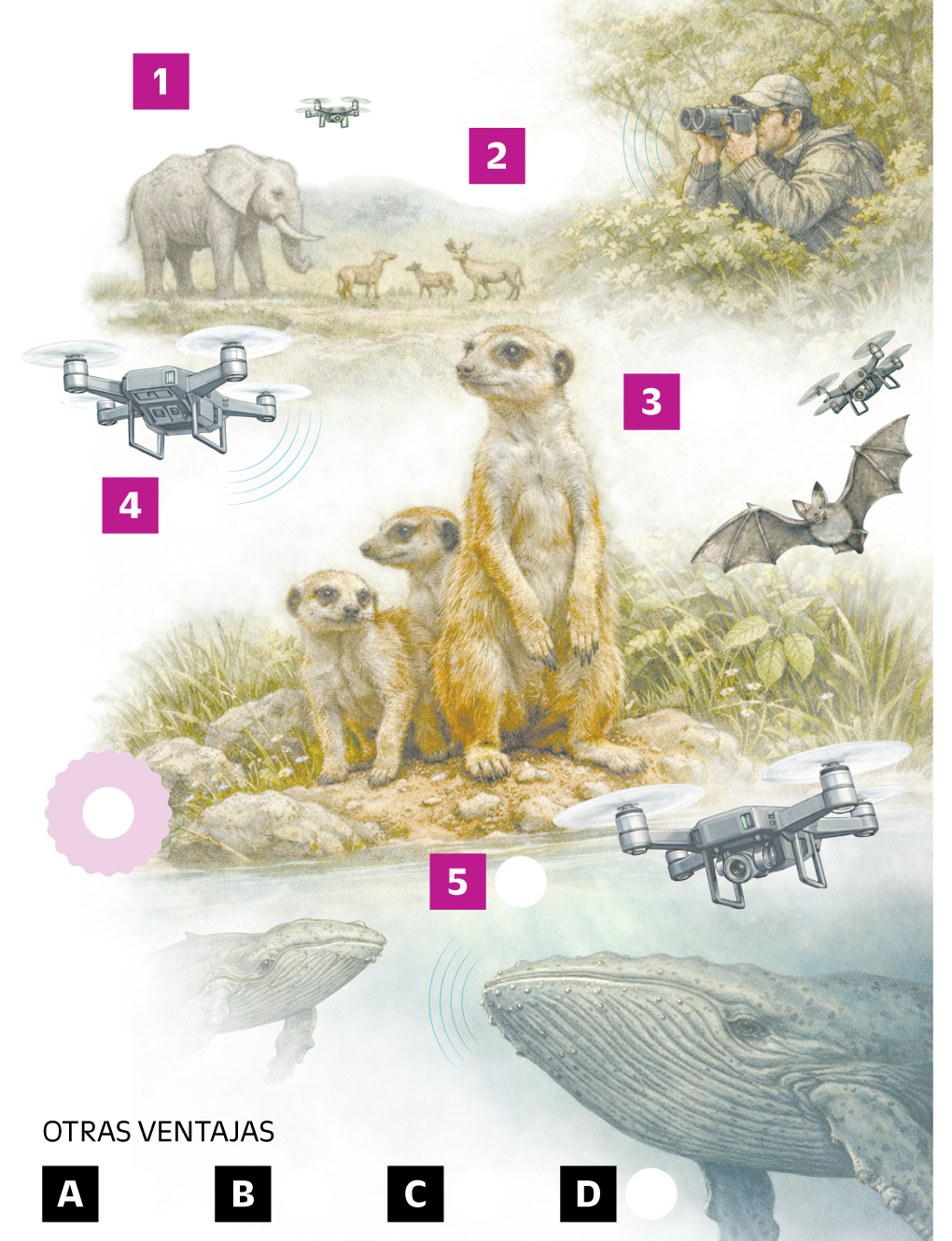 Historias del comportamiento animal 