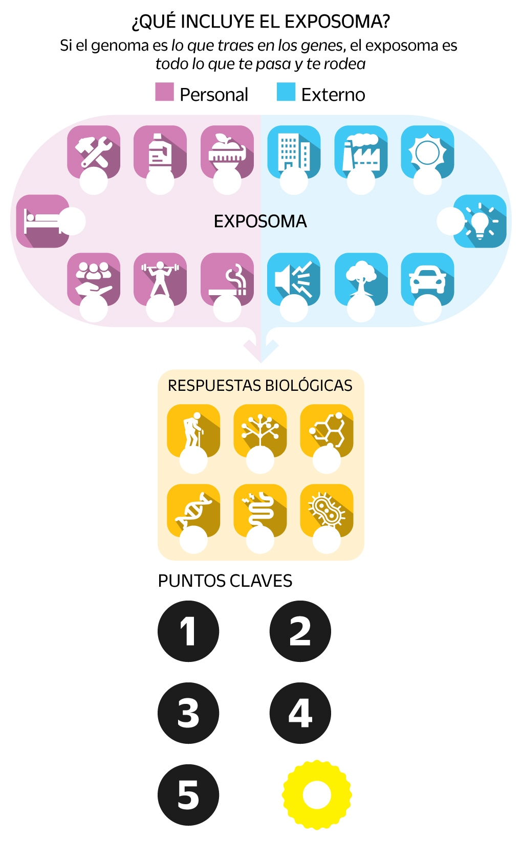 El Proyecto Exposoma Humano (PEH)